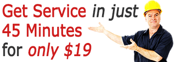 schedule a call for just $19
